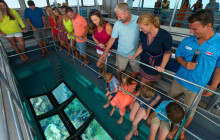Glass Bottom Boat Reef Eco-Tour