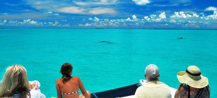 Dolphin Watch & Snorkel Combo