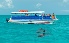Dolphin Watch & Snorkel Combo