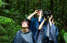 Greenway Nature Tours2069