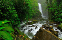 Greenway Nature Tours2070