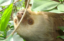 Greenway Nature Tours2088