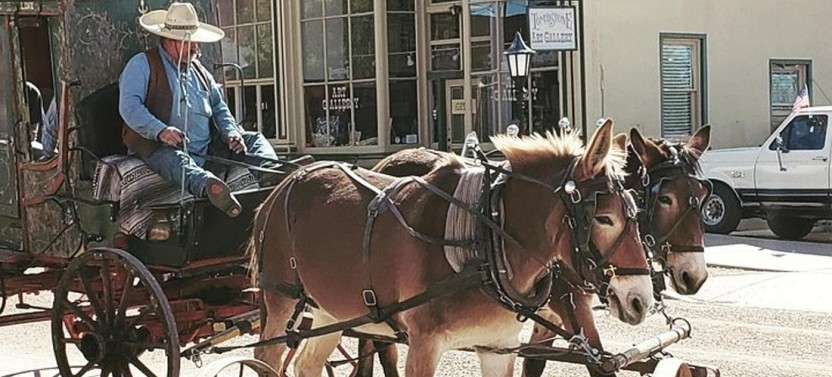 Tombstone & Bisbee Private Tour from Scottsdale