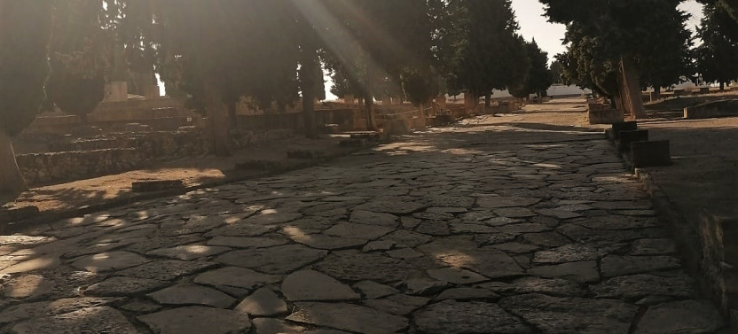 Roman Ruins Of Italica Half-Day Tour