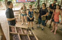 Greenway Nature Tours2202