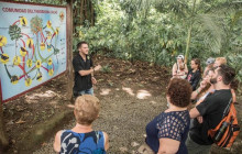 Greenway Nature Tours2205