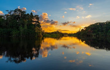 Greenway Nature Tours2257