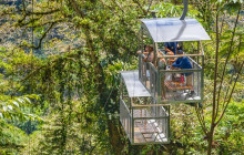 Greenway Nature Tours2263