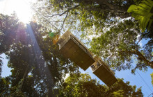 Greenway Nature Tours2270