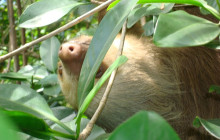Greenway Nature Tours2293