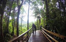 Greenway Nature Tours2303