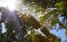 Greenway Nature Tours2308