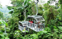 Greenway Nature Tours2332