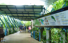 Greenway Nature Tours2334