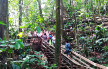 Greenway Nature Tours2338