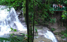 Greenway Nature Tours2343