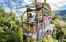 Greenway Nature Tours2345