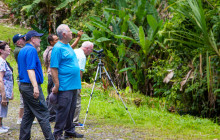Greenway Nature Tours2359