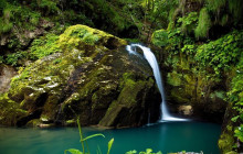 Greenway Nature Tours2381