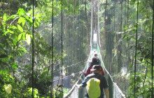 Greenway Nature Tours2382