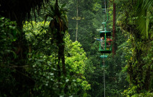 Greenway Nature Tours2396