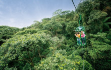 Greenway Nature Tours2400