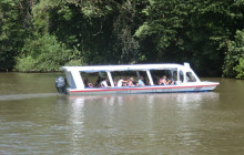 Greenway Nature Tours2410