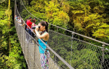 Greenway Nature Tours2418