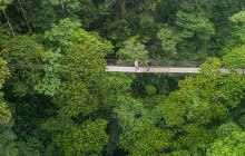 Greenway Nature Tours2425