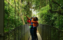 Greenway Nature Tours2431