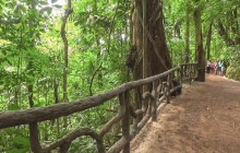 Greenway Nature Tours2433