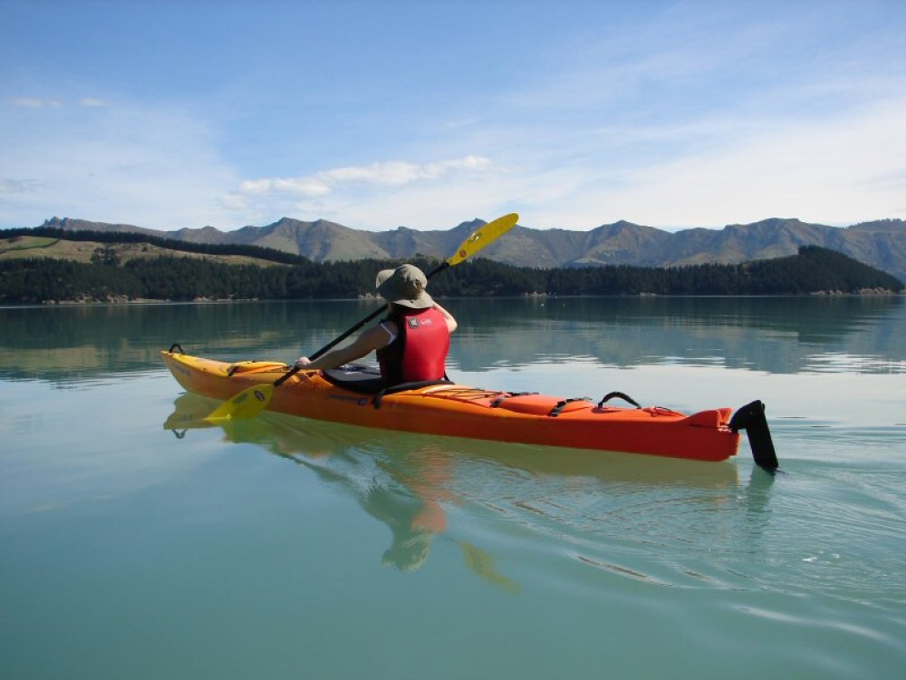 Sea Kayaking, Lyttelton Harbour & Quail Island From Christchurch