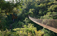 Greenway Nature Tours2463