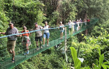 Greenway Nature Tours2468
