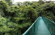 Greenway Nature Tours2472