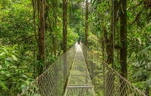 Greenway Nature Tours2474