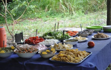 Greenway Nature Tours2489