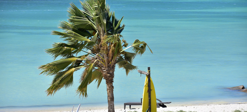 Windsurf Beginner Lesson