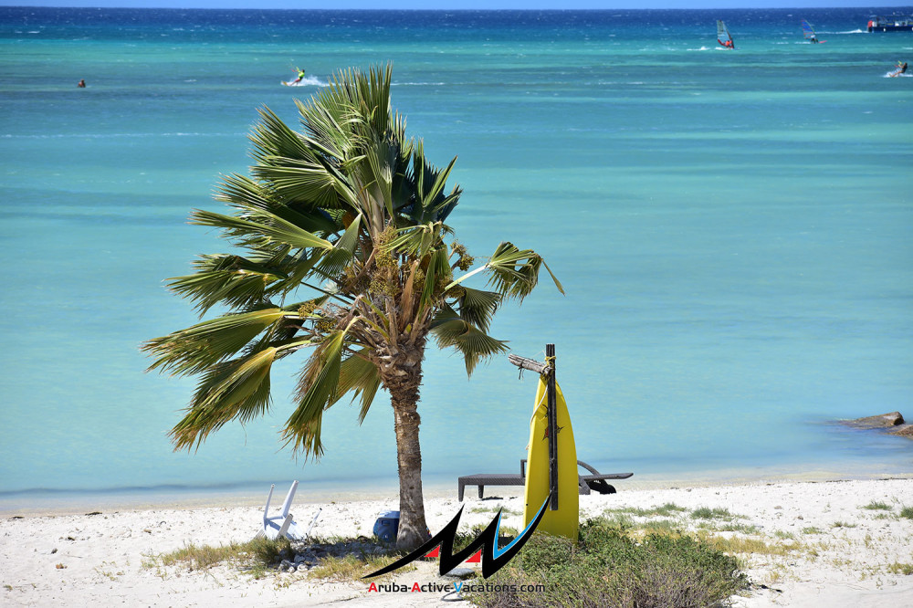 Windsurf Private Beginner Lesson