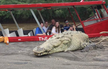 Greenway Nature Tours2518