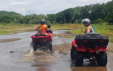 Greenway Nature Tours2522