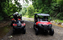 Greenway Nature Tours2538