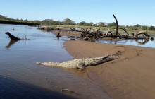 Greenway Nature Tours2552