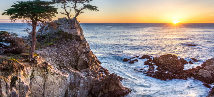 Monterey and Carmel 1-Day Tour from San Francisco