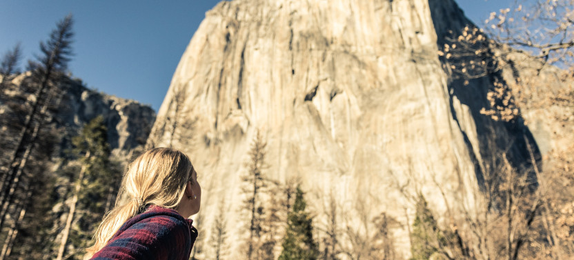 Yosemite and Giant Sequoias One Day Tour from San Jose