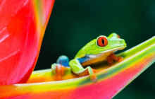 Greenway Nature Tours2602