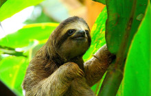 Greenway Nature Tours2611