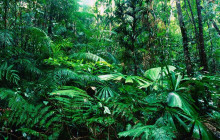 Greenway Nature Tours2620