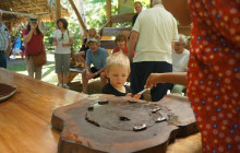 Greenway Nature Tours2639