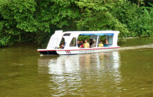 Greenway Nature Tours2651